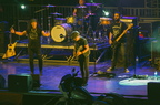 Concert Dave Evans