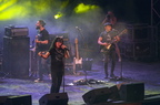 Concert Dave Evans
